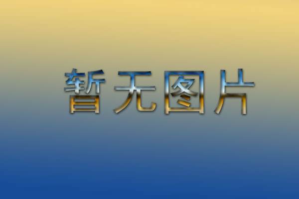 周鸿t、刘强东对谈《颠覆者:周鸿t自传》